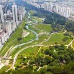 In 2012, Singapore replaced a 2.7 km concrete drainage channel with a 3 km winding river; biodiversity in the park increased by 30%