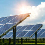 A Massachusetts farmer has put 832 tracking solar panels over his crops. The land now grows food, electricity and extra farm income all at once