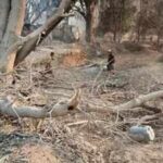 Myanmar military strike on Buddhist monastery kills 14, including three women