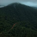 Vande Bharat turns into an ‘orange snake’ as it winds through misty Western Ghats; breathtaking aerial video goes viral - Watch here
