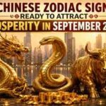 3 Chinese zodiac signs ready to attract prosperity in September 2026