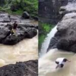 Tourists save boy from near-fatal fall during selfie attempt; video goes viral
