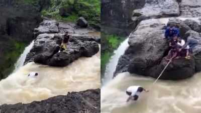Tourists save boy from near-fatal fall during selfie attempt; video goes viral