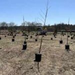 A 112-acre New Jersey restoration project is planting about 50,000 native trees and shrubs, creating vernal pools and rebuilding Raritan River floodplain habitat