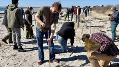 Maine students and residents planted 12,000 dune-grass stalks after two 2024 storms washed away dunes; in 2026, volunteers returned with 20,000 more to rebuild the beach