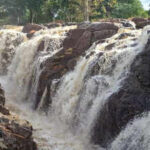 Tamil Nadu government vows to secure rightful share in inter-state river water