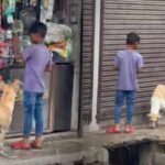 While the world sleeps, this little boy wakes at 6 AM to feed stray dogs: His daily ritual of love, kindness and compassion is melting hearts across the internet