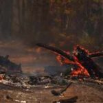 One week of extreme heat in Europe linked to 16,000 excess deaths: Report