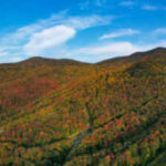 In 1959, Vermont bought Snake Mountain land but the seller kept timber rights; 67 years later the state plans to secure 949 acres of those rights and add 256 acres