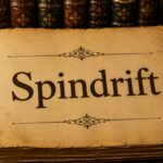 Word of the day: Spindrift
