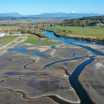 In 2009, Washington removed a century-old dike and let tides reclaim 762 acres; 21 miles of channels reopened, and young Chinook salmon entered the restored marsh in their first migration season