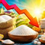 Cheeni Kum? Imported sugar is yet to land, so why is it getting cheaper