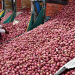 Onion price hike: Centre expands Rs 35/kg sale to 19 cities amid supply concerns