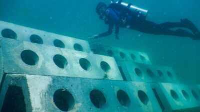 In 1998, researchers built 12 reefs off Miami Beach using limestone, concrete and concrete mixed with waste tyre chips; divers later counted 97,826 fish from 146 species