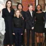 Angelina Jolie’s unusual parenting choice: In 2016, she revealed her six children were learning Khmer, Vietnamese, German, Arabic and sign language