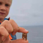 Meet Arthur, the 7-year-old British boy who found ancient human teeth while exploring a Cornish coastline