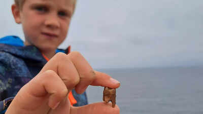 Meet Arthur, the 7-year-old British boy who found ancient human teeth while exploring a Cornish coastline