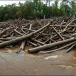In 1880, Wisconsin’s Chippewa River became a 7-mile wall of logs as 200 million board feet of timber jammed the river before a flood broke it apart