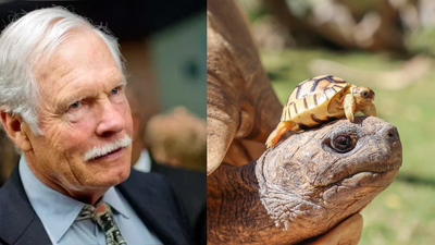 CNN founder Ted Turner’s New Mexico ranch helped save North America’s rarest large tortoise, growing its population from 30 to about 800