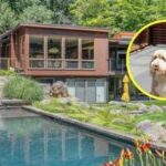In 2019, a New York couple bought a $1.825M Ridge home for their bearded Collie; after spending another $2M on renovations, ‘Buster’s Retreat’ is now listed for $2.9M