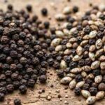 How to check if black pepper is real: 6 ways to spot adulterated pepper at home