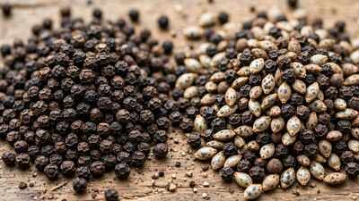 How to check if black pepper is real: 6 ways to spot adulterated pepper at home