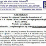 IBPS RRB CRP-XV Clerk 2026 registration begins September 1; check official notification PDF, dates and eligibility