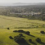 Clint Eastwood bought a 134-acre California artichoke ranch in 1995; he and Margaret Eastwood later donated land that now forms a 128-acre floodplain restoration site