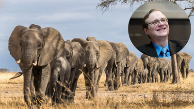 In 2013, Microsoft co-founder Paul Allen put $7 million into counting Africa's elephants; the two-year survey found just 352,271 across 18 countries and exposed a devastating decline