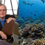 In 2015, Paul Allen launched a global shark survey across 58 countries; cameras later found sharks missing from nearly 20% of reefs