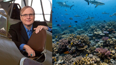 In 2015, Paul Allen launched a global shark survey across 58 countries; cameras later found sharks missing from nearly 20% of reefs