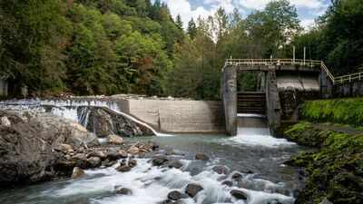 In 2020, the US removed 69 dams, reconnecting 624 miles of rivers and restoring habitat for salmon, steelhead and native fish species