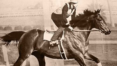 In the 1940s, Seabiscuit retired to a California ranch; decades later its redwoods, oak woodlands and wetlands became a conservation priority