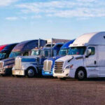 US announces emergency executive shutdown of 110 driving schools for 5000 violations: 'No English, no trucking - it's common sense'