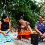 Meet the 'Turtle Women' of Amazon: 7 Indigenous women are bringing vulnerable river turtles back from the brink after releasing 208 baby turtles into the wild