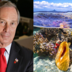 Michael Bloomberg committed $260 million to protect the world's oceans; his initiative has already strengthened protections across 11 million sq miles