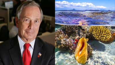 Michael Bloomberg committed $260 million to protect the world's oceans; his initiative has already strengthened protections across 11 million sq miles