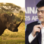 NBA star Yao Ming saw elephants and rhinos killed for ivory and horns; he later became a leading wildlife conservation campaigner in China