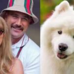 Taylor Swift and Travis Kelce own a Samoyed dog, the breed known for its famous “smile”: Here’s the fascinating evolutionary story behind one of the world’s most recognisable dog faces