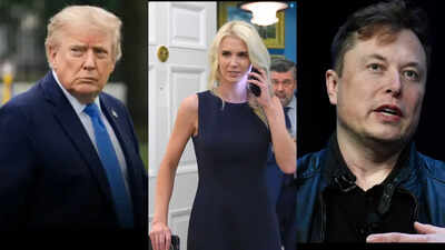 Natalie Harp came in, gave Trump a printout of Elon Musk's post: Ted Cruz reveals how Trump vs Musk unfolded in front of his eyes, like a 'hand grenade was thrown in the middle of everything'