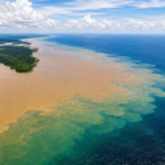 The Amazon River pours 28 billion gallons of freshwater into the Atlantic Ocean every minute, making seawater less salty more than 100 miles offshore