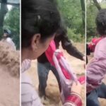 Newlywed woman takes off her dupatta to save biker trapped in Himachal flash flood; dramatic rescue by a family caught in camera; video viral
