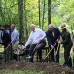 In 1906, five railroad bridges carried coal through West Virginia’s New River Gorge; 120 years later an $11.8 million project is rebuilding them for hikers