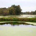 A Wisconsin farming family fought a 2016 tax change as nearly 2,000 floodplain acres became harder to farm; 10 years later, the land is being permanently protected