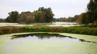 A Wisconsin farming family fought a 2016 tax change as nearly 2,000 floodplain acres became harder to farm; 10 years later, the land is being permanently protected